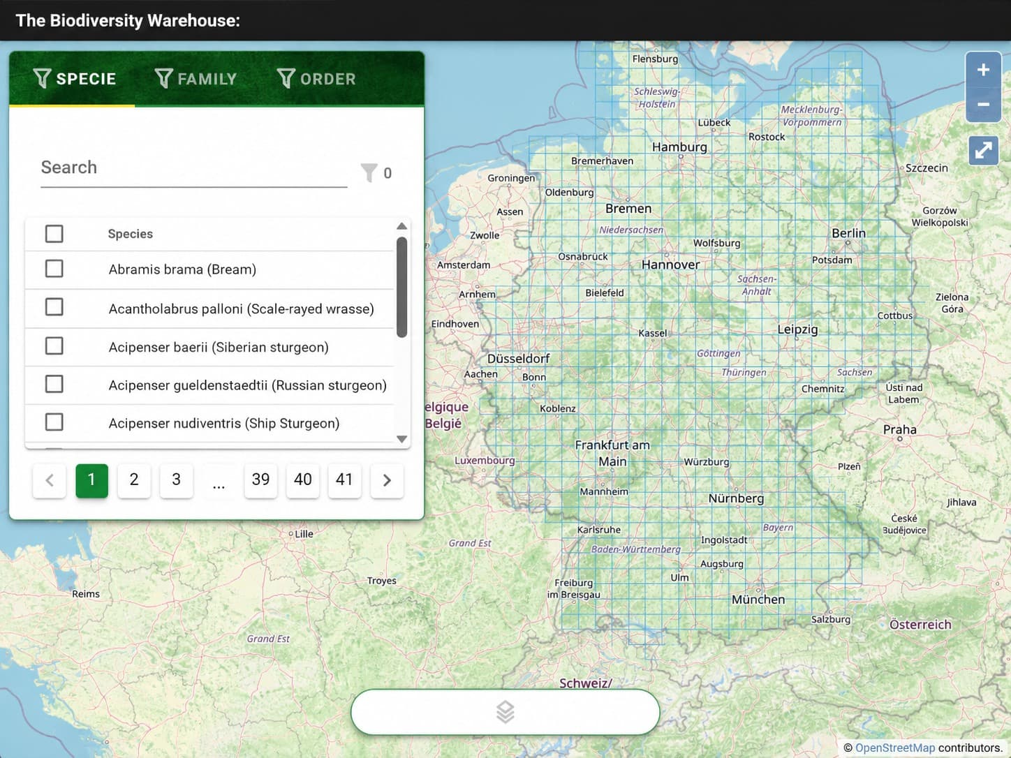 Biodiversity Warehouse: species, family and order filter panel over the interactive UTM grid map of Germany